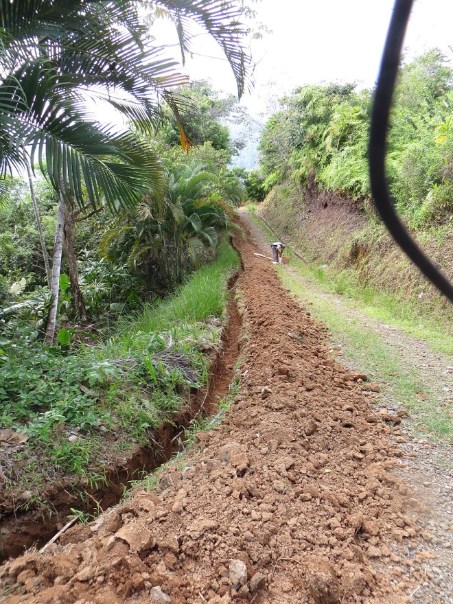 The hand-dug trench for running the electric service down to the house